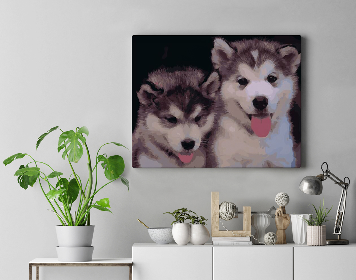 Sibiřský husky